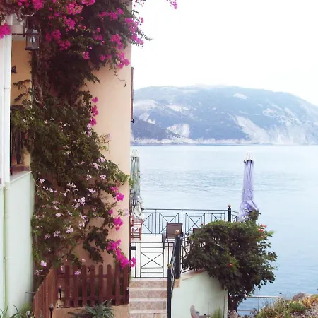 Gary Apartamento Asos